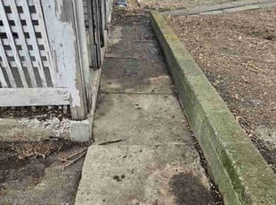 Leaf Removal by Branden Eakle for Gail H. in Scranton, PA