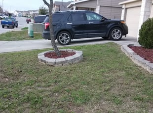 Weeding by Bryan May for Heather A. in San Antonio, TX