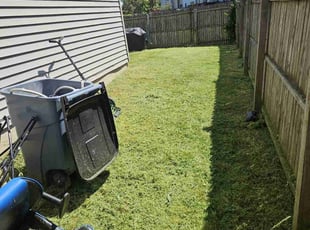 Qarlano C.'s Lawn Mowing service result