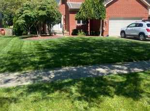 Roxanne A.'s Lawn Service service result