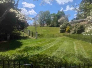 Jassour A.'s Lawn Care service result