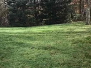 Leaf Removal by Melinda Smith for toni t. in Duson, LA