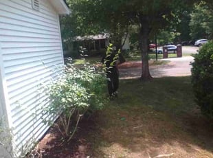 Bush Trimming by Malachi Dunlap for Kim C. in Charlotte, NC