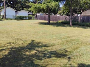 Peter M.'s Lawn Mowing Service service result