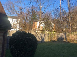 Leaf Removal by Kareem Bonner for Phillip B. in Cincinnati, OH