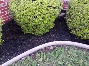 Weeding by Amy Delarosa for Margaret J. in Sherman, TX