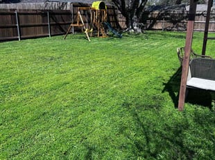 Matthew B.'s Lawn Care service result