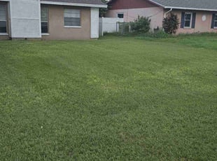 Walter H.'s Lawn Mowing Service service result