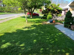 Elizabeth R.'s Lawn Service service result