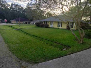 NUBI P.'s Lawn Service service result