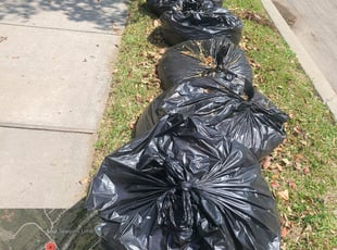 Leaf Removal by Javier Bernal for Stephanie C. in Garland, TX