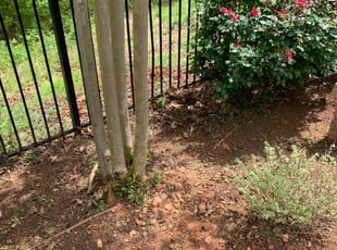 Leaf Removal by Derrick Bennett for Sharon T. in Monroe, NC