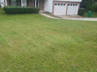 Bush Trimming by Joshua Walker for Kim S. in Lithonia, GA