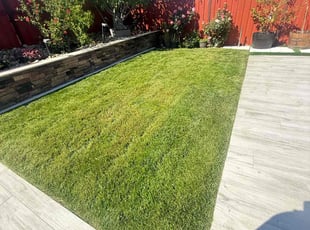 Matthew P.'s Lawn Mowing service result