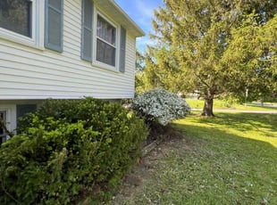 Bush Trimming by Darnell Williams for Jaclyn O. in Pittsford, NY