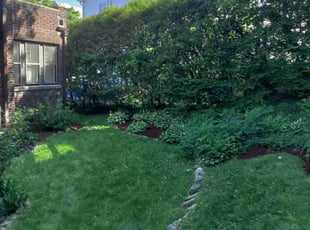 Mulching by Peter Monopoli for Johanna M. in Newton, MA