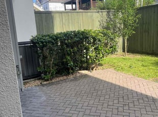Bush Trimming by Jeff Templeton for Jeanette A. in Houston, TX