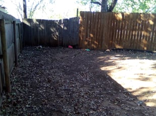 Cleanups by Christopher Rider for Ana R. in North Richland Hills, TX