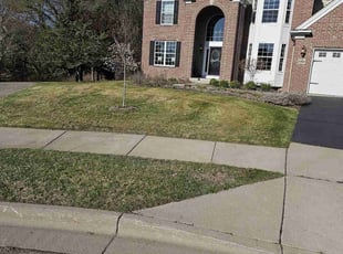 Phuong L.'s Yard Cutting service result