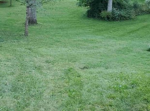 Juan G.'s Lawn Maintenance service result