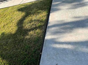 Allison M.'s Lawn Maintenance service result