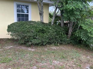 Bush Trimming by Patrick Paul for Tacha A. in Deltona, FL