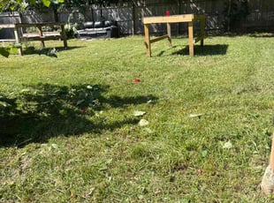 Mildred H.'s Grass Cutting service result