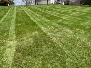 Kyle m.'s Grass Cutting service result