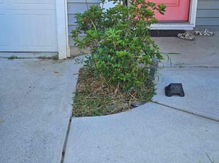 Weeding by AL Lampkin for Khanh T. in Moncks Corner, SC