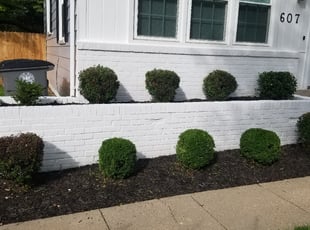 Bush Trimming by Miguel Santos for Spencer C. in Rockville, MD