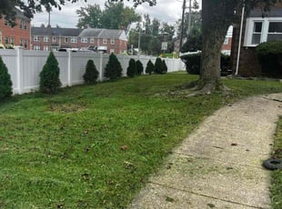 Robert c.'s Lawn Service service result