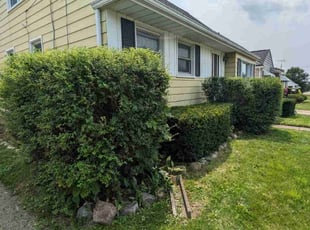 Bush Trimming by Lawrence Ellis for Irene R. in Flint, MI