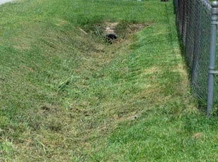Weeding by Randall Mergist for Greg N. in Lafayette, LA