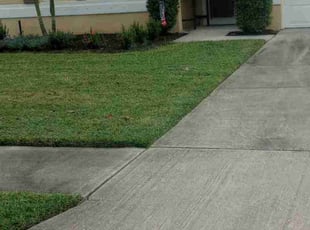 Bush Trimming by Shane Ray for Karen R. in Titusville, FL