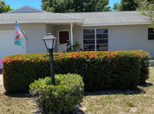 Bush Trimming by Trevor Wood for Mindy R. in Clearwater, FL