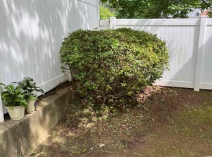 Bush Trimming by Kenneth Pope for Sharna P. in Acworth, GA