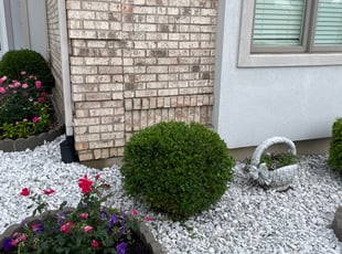 Bush Trimming by Gary Andersen for Feruza P. in Springboro, OH
