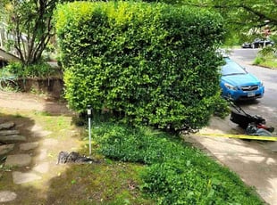 Bush Trimming by Devin Beard for Dustin B. in Portland, OR