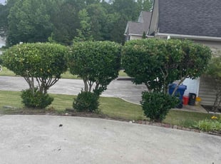 Bush Trimming by Mark Perugini for Marion S. in Dallas, GA