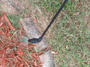 Weeding by Conard Hendrickson for Jackson P. in Melbourne, FL