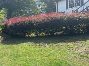 Weeding by Jonathan Clark for Shawn F. in Lawrenceville, GA