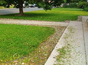 Weeding by Mulbah Lincoln for Abdullahi O. in Minneapolis, MN