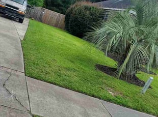 Lauren D.'s Lawn Service service result