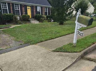 Wayne S.'s Lawn Maintenance service result