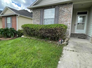 Bush Trimming by Herschell Bradley for Shane R. in Tallahassee, FL