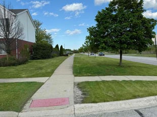 Randy S.'s Lawn Care service result