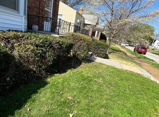 Bush Trimming by Mike Cebulski for kathy e. in St. Louis, MO