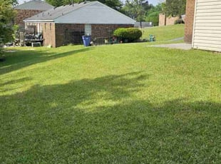 Renee J.'s Grass Cutting service result
