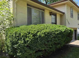 Bush Trimming by Edward Krakosky for Marie H. in Kansas City, MO