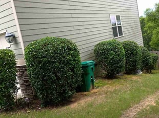 Bush Trimming by Thomas Chalker for Maggie M. in Grovetown, GA